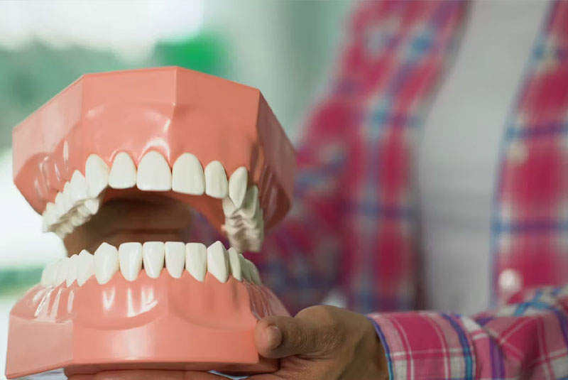 man holding a huge model of teeth